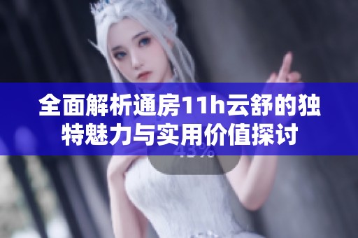 全面解析通房11h云舒的独特魅力与实用价值探讨