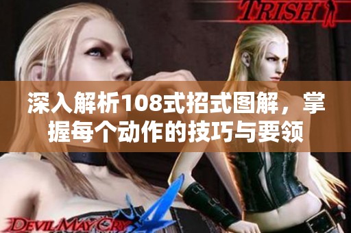 深入解析108式招式图解，掌握每个动作的技巧与要领