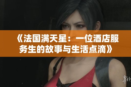 《法国满天星：一位酒店服务生的故事与生活点滴》