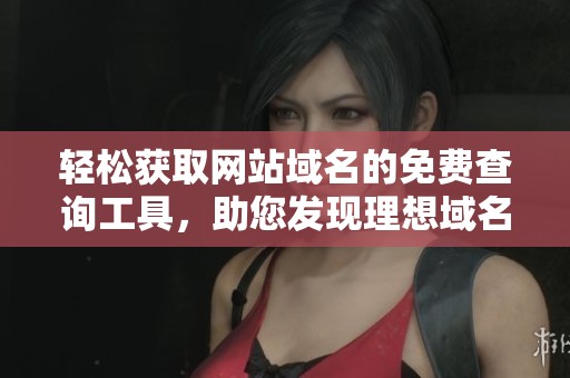 轻松获取网站域名的免费查询工具，助您发现理想域名方案