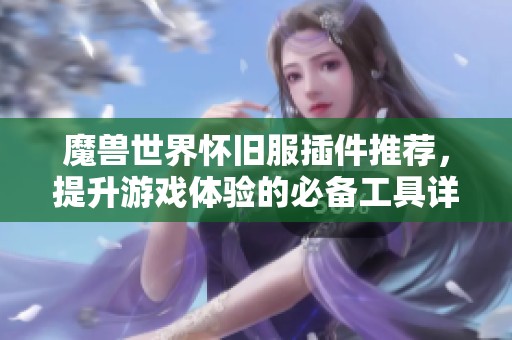 魔兽世界怀旧服插件推荐，提升游戏体验的必备工具详解