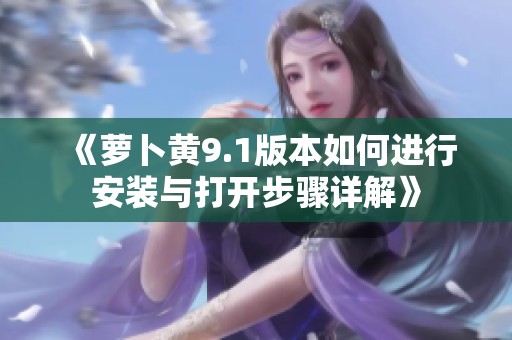 《萝卜黄9.1版本如何进行安装与打开步骤详解》