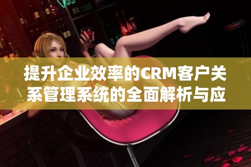 提升企业效率的CRM客户关系管理系统的全面解析与应用探讨