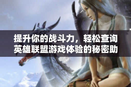 提升你的战斗力，轻松查询英雄联盟游戏体验的秘密助手