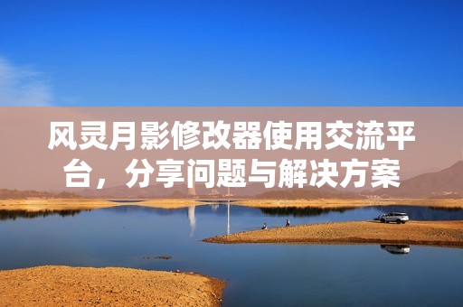 风灵月影修改器使用交流平台，分享问题与解决方案