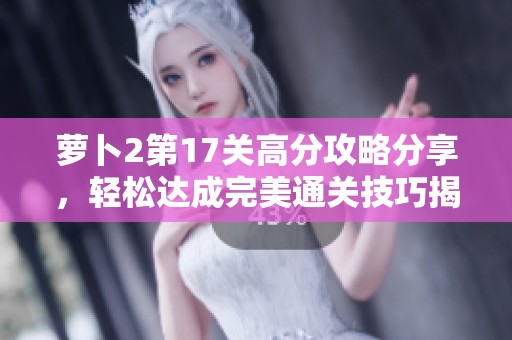萝卜2第17关高分攻略分享，轻松达成完美通关技巧揭秘