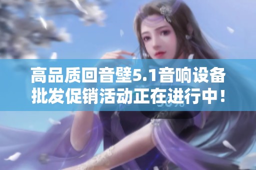 高品质回音壁5.1音响设备批发促销活动正在进行中！