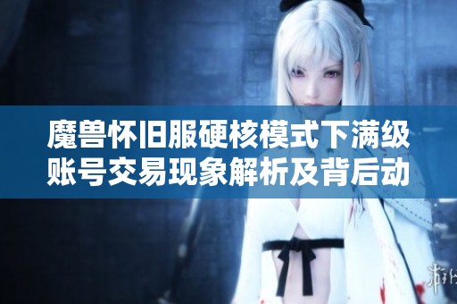 魔兽怀旧服硬核模式下满级账号交易现象解析及背后动因
