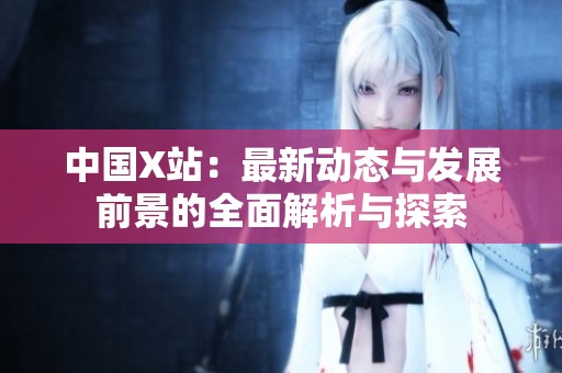 中国X站：最新动态与发展前景的全面解析与探索