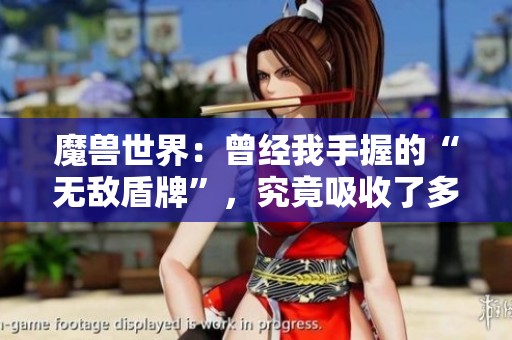 魔兽世界：曾经我手握的“无敌盾牌”，究竟吸收了多少伤害
