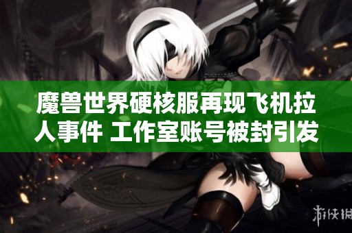 魔兽世界硬核服再现飞机拉人事件 工作室账号被封引发玩家热议