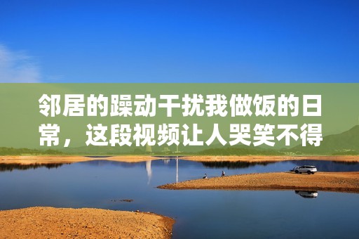 邻居的躁动干扰我做饭的日常，这段视频让人哭笑不得