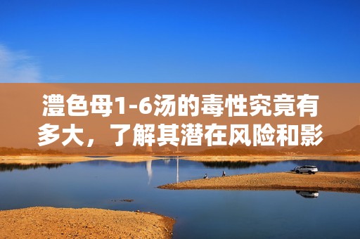 澧色母1-6汤的毒性究竟有多大，了解其潜在风险和影响