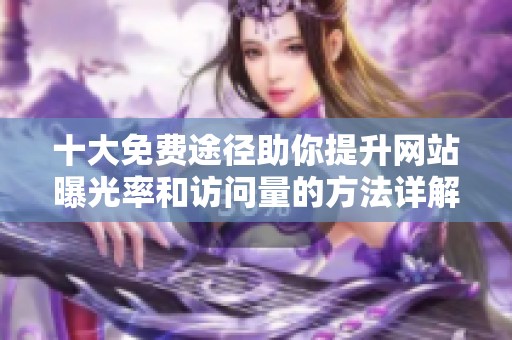 十大免费途径助你提升网站曝光率和访问量的方法详解