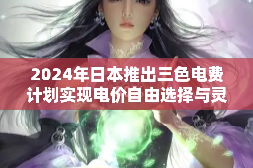 2024年日本推出三色电费计划实现电价自由选择与灵活管理