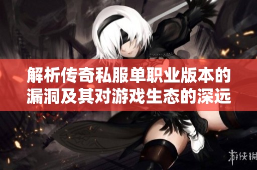 解析传奇私服单职业版本的漏洞及其对游戏生态的深远影响