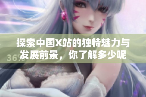 探索中国X站的独特魅力与发展前景，你了解多少呢