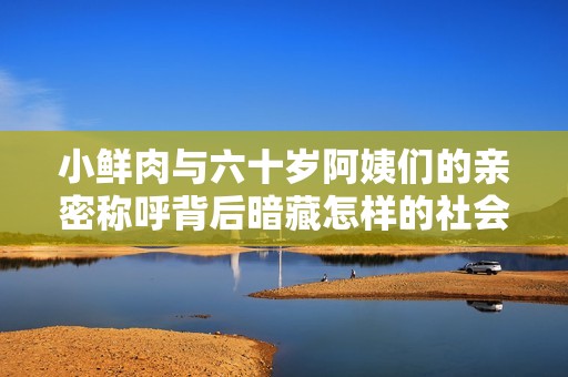 小鲜肉与六十岁阿姨们的亲密称呼背后暗藏怎样的社会文化现象