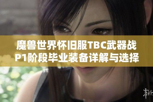 魔兽世界怀旧服TBC武器战P1阶段毕业装备详解与选择指南