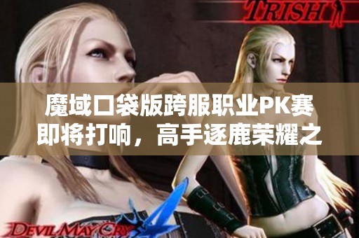 魔域口袋版跨服职业PK赛即将打响，高手逐鹿荣耀之巅