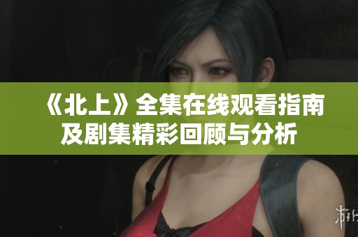 《北上》全集在线观看指南及剧集精彩回顾与分析