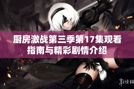 厨房激战第三季第17集观看指南与精彩剧情介绍
