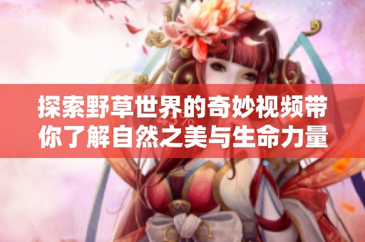 探索野草世界的奇妙视频带你了解自然之美与生命力量