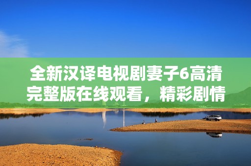 全新汉译电视剧妻子6高清完整版在线观看，精彩剧情不容错过