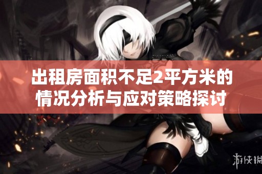 出租房面积不足2平方米的情况分析与应对策略探讨