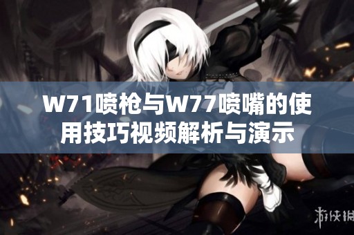 W71喷枪与W77喷嘴的使用技巧视频解析与演示