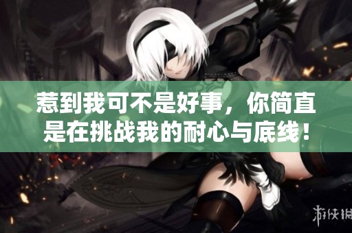 惹到我可不是好事，你简直是在挑战我的耐心与底线！
