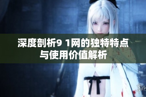 深度剖析9 1网的独特特点与使用价值解析