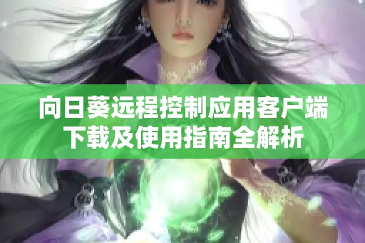 向日葵远程控制应用客户端下载及使用指南全解析