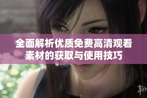 全面解析优质免费高清观看素材的获取与使用技巧