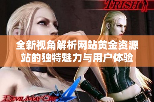 全新视角解析网站黄金资源站的独特魅力与用户体验