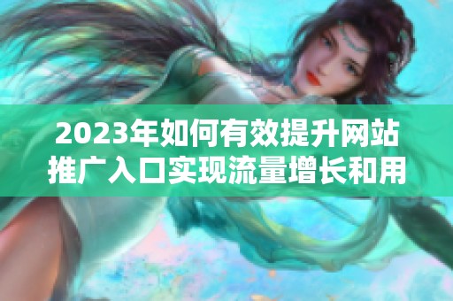 2023年如何有效提升网站推广入口实现流量增长和用户转化
