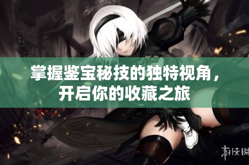 掌握鉴宝秘技的独特视角，开启你的收藏之旅