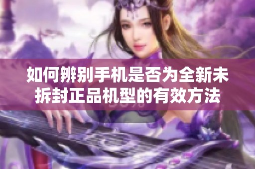 如何辨别手机是否为全新未拆封正品机型的有效方法