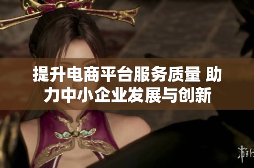 提升电商平台服务质量 助力中小企业发展与创新
