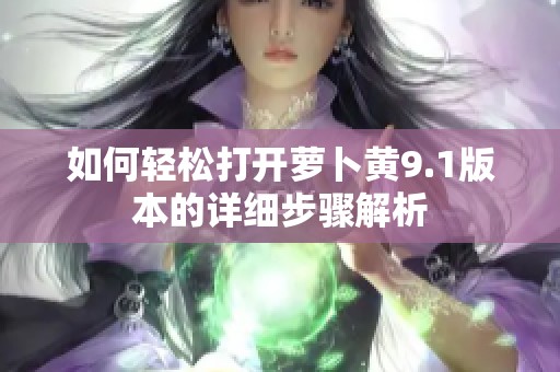 如何轻松打开萝卜黄9.1版本的详细步骤解析