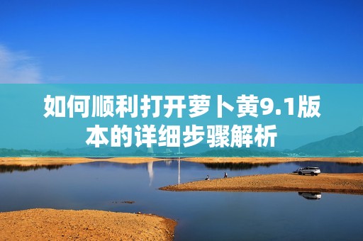 如何顺利打开萝卜黄9.1版本的详细步骤解析
