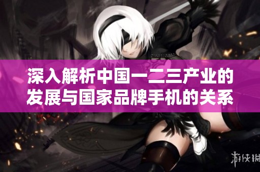 深入解析中国一二三产业的发展与国家品牌手机的关系