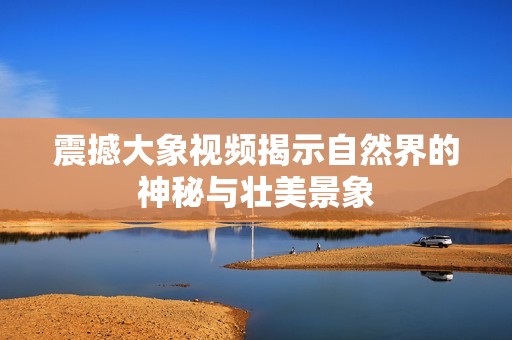 震撼大象视频揭示自然界的神秘与壮美景象