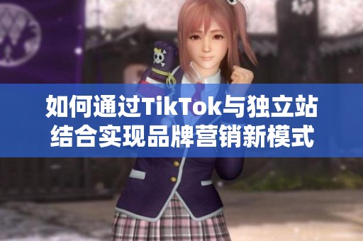 如何通过TikTok与独立站结合实现品牌营销新模式