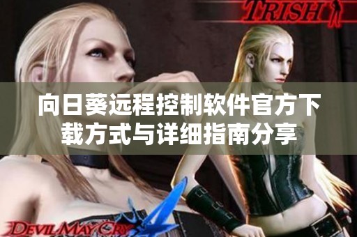 向日葵远程控制软件官方下载方式与详细指南分享