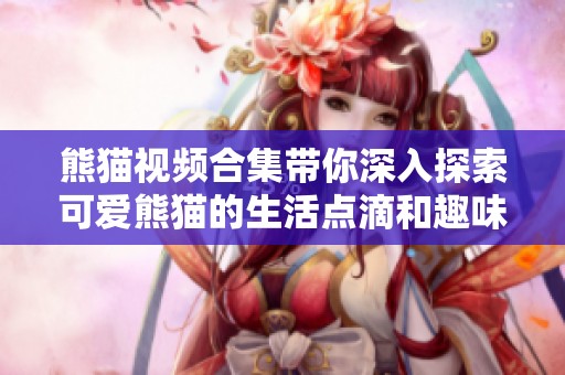 熊猫视频合集带你深入探索可爱熊猫的生活点滴和趣味瞬间