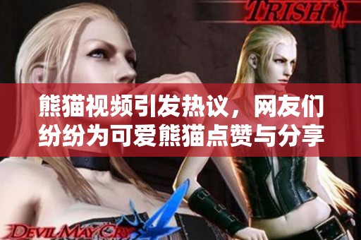熊猫视频引发热议，网友们纷纷为可爱熊猫点赞与分享