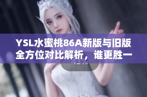 YSL水蜜桃86A新版与旧版全方位对比解析，谁更胜一筹？