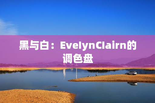 黑与白：EveIynCIairn的调色盘