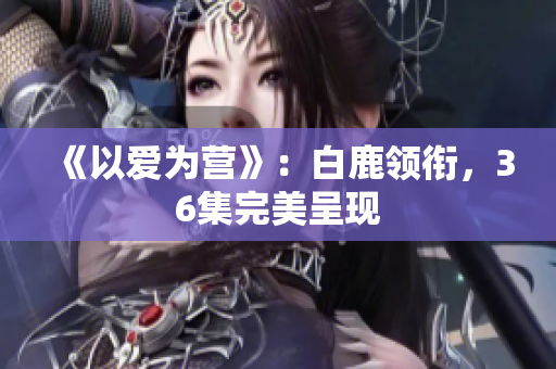 《以爱为营》：白鹿领衔，36集完美呈现